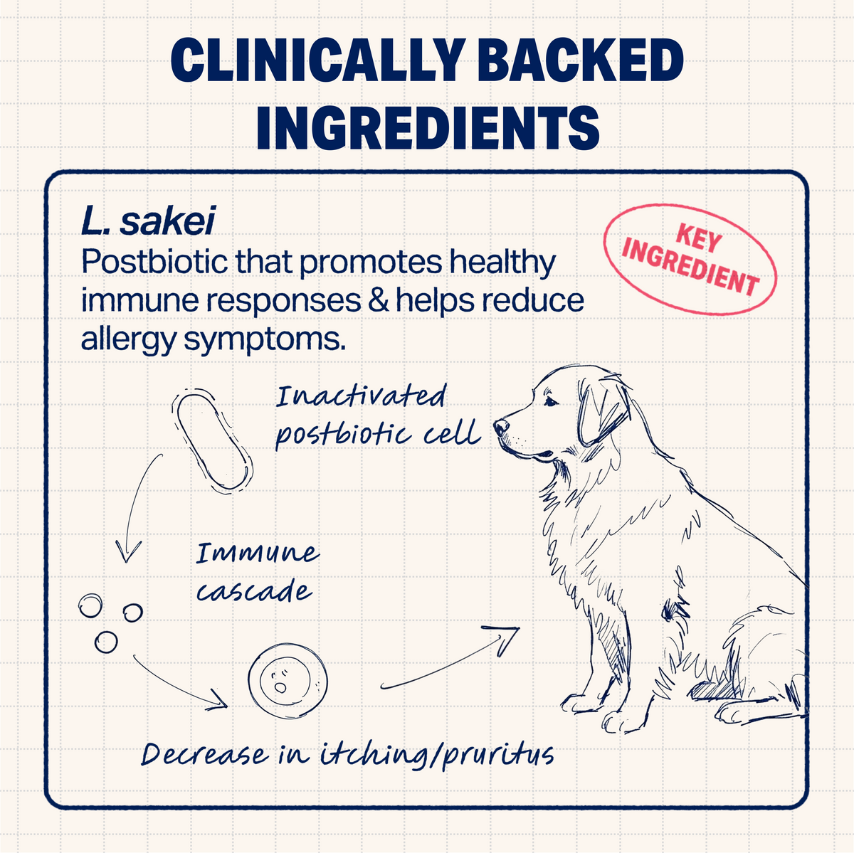 Allergy Relief