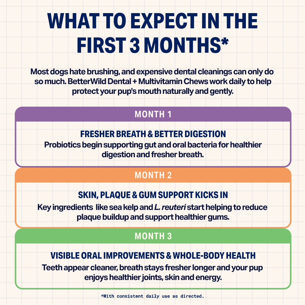 Dental + Multivitamin