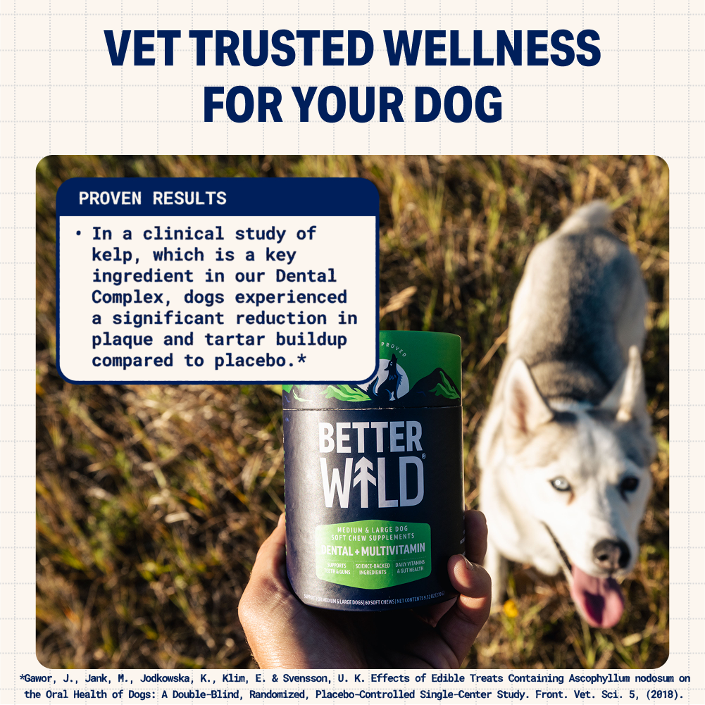 Dental + Multivitamin
