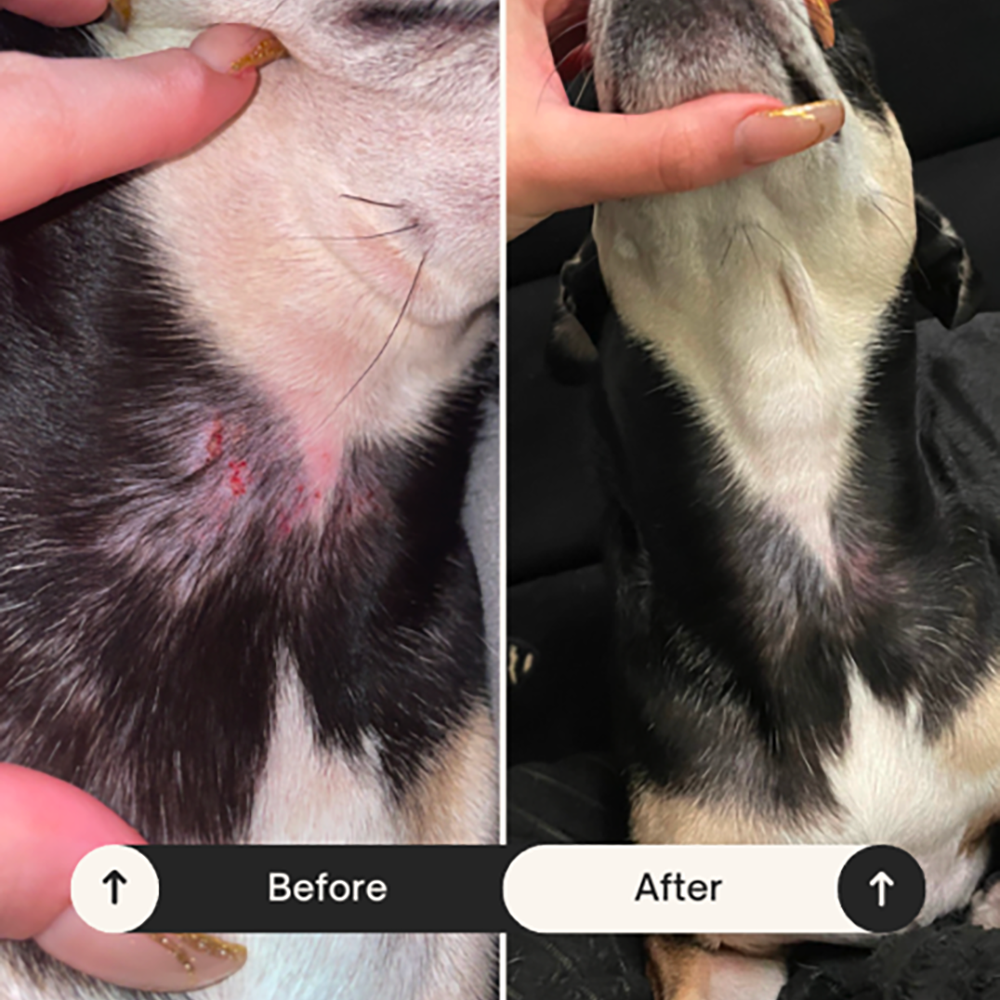 Allergy Relief – BetterWild