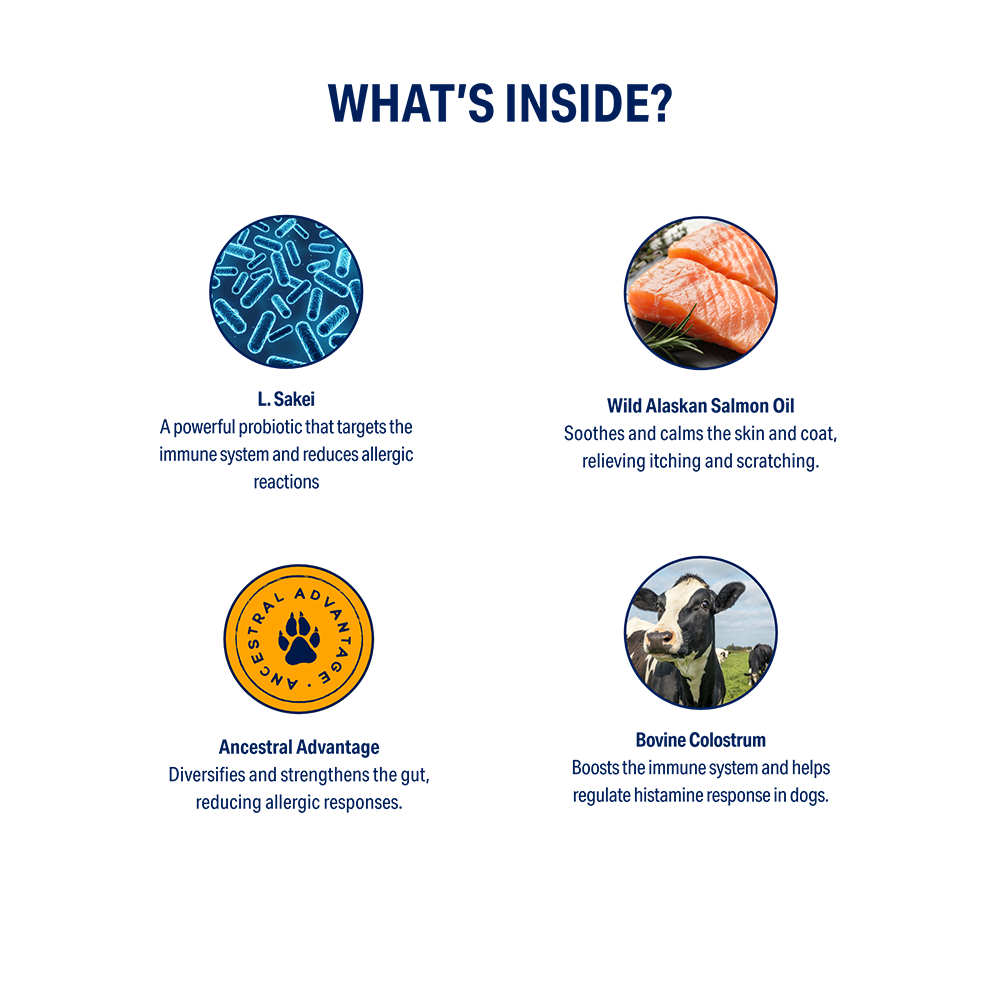 Allergy Relief BetterWild allergy-relief-betterwild