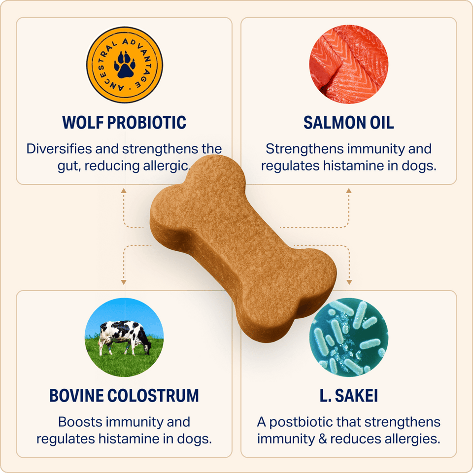 Allergy Relief chew with natural ingredients