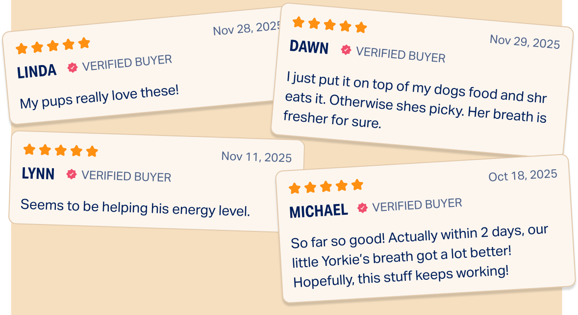 look at how others are loving betterwild