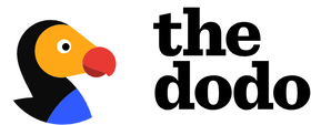 As seen on logo 7