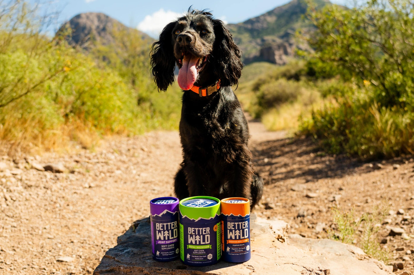 Vet-Trusted Wellness for your Dog
