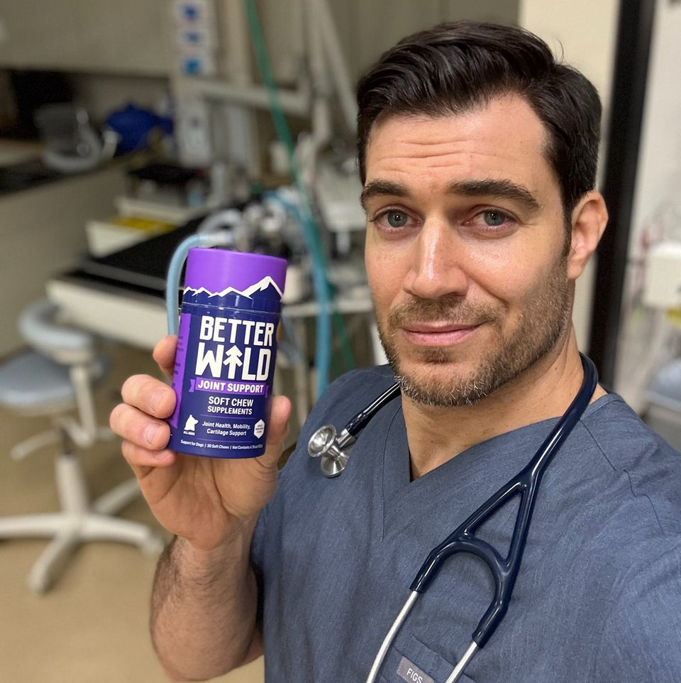 Veterinarian holding BetterWild Joint Support