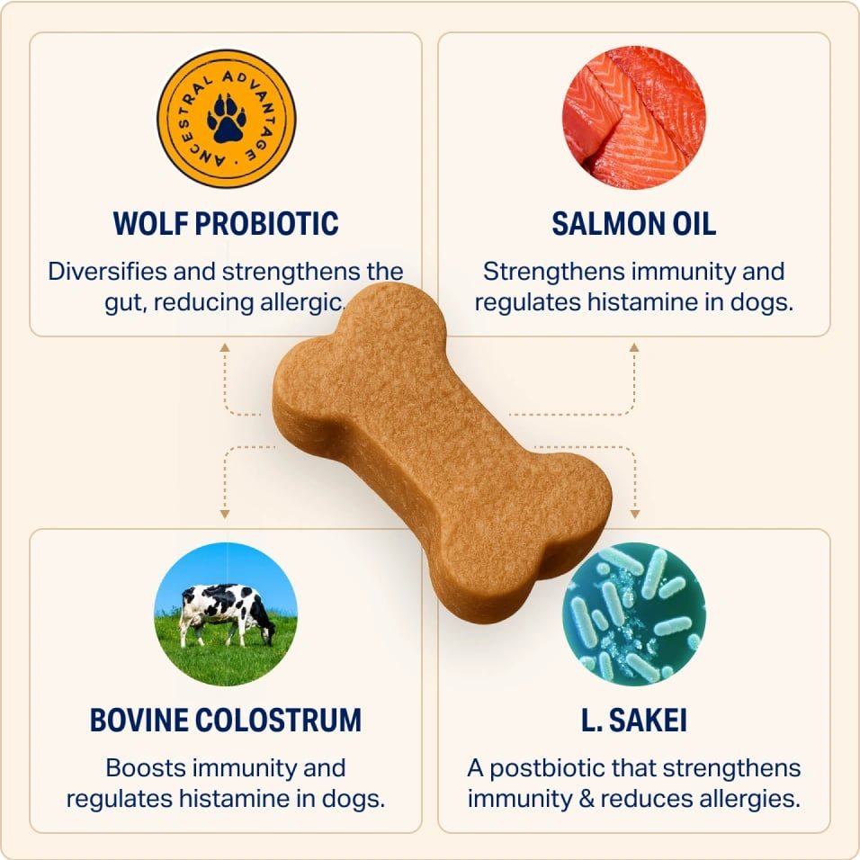 Joint Support chew with clinically supported ingredients