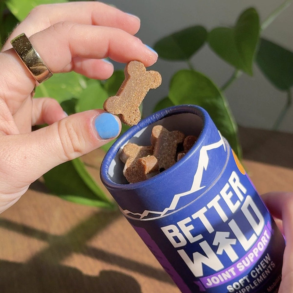 Hand taking a Joint Support chew from the jar