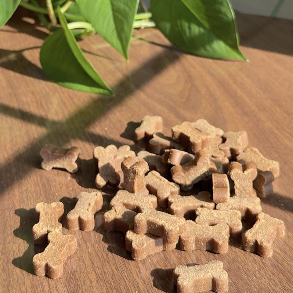 Bone-shaped Joint Support chews
