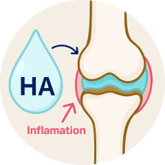 HYALURONIC ACID