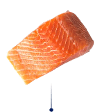 Salmon Oil