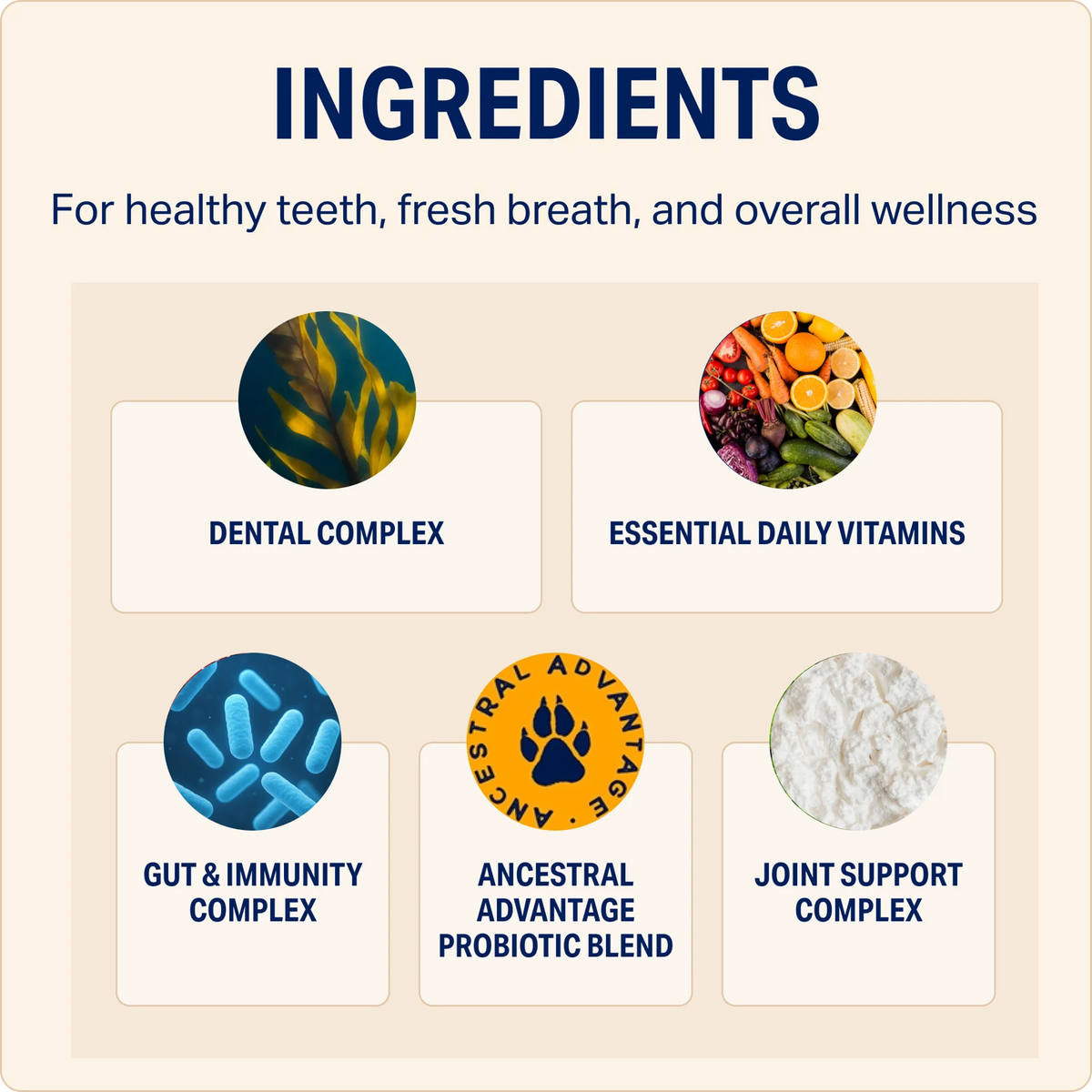 Dental + Multivitamin