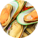 Green-Lipped Mussel