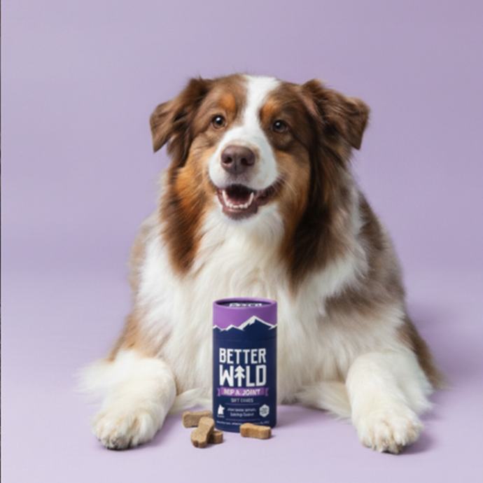 3,500+ Verified Reviews. Senior Dogs Moving Like Puppies Again
