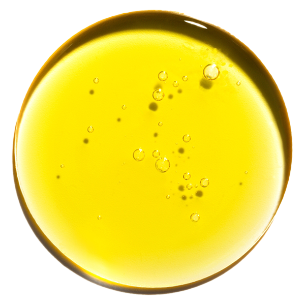 OLIVE OIL